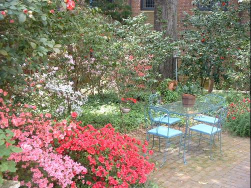 Camellia Cottage Bed and Breakfast - Wilmington