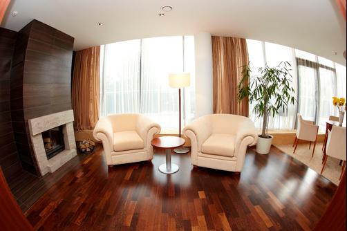 Aqua Meduna - Druskininkai - Living room