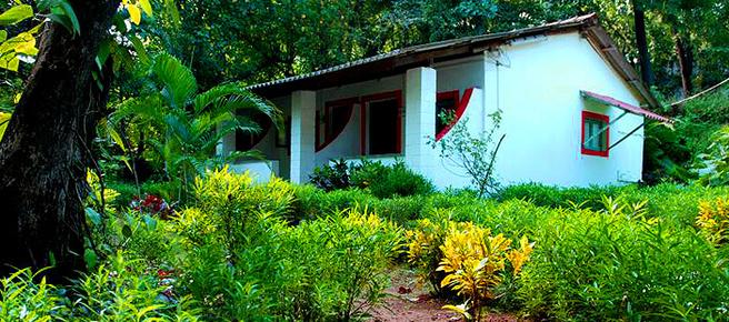 Julie Jolly - Goa - Building