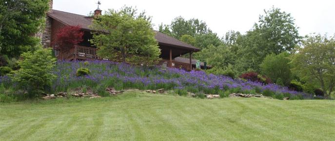 Mountain Song Inn - Willis - Building
