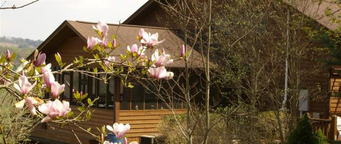 Mountain Song Inn - Willis - Building