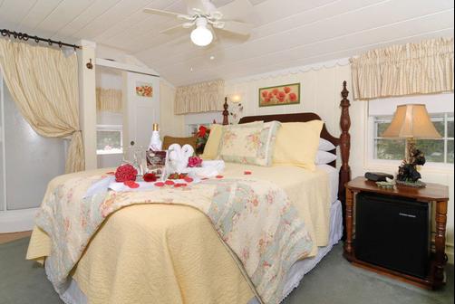 Laurel Springs Lodge B&B - Gatlinburg - Bedroom