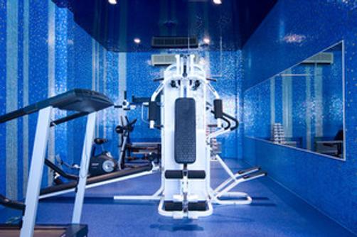Royal Zenith Hotel II - Moscow - Gym