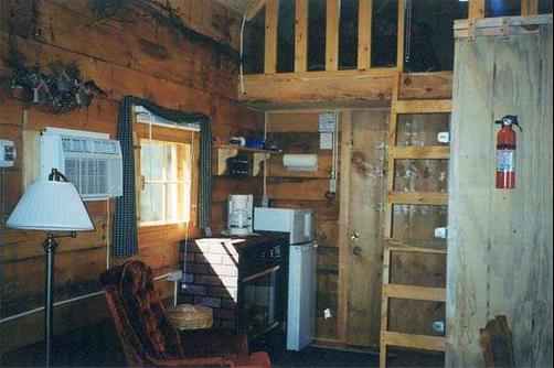 Grapevine Log Cabins - Sparta - Living room