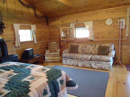 Grapevine Log Cabins - Sparta - Bedroom