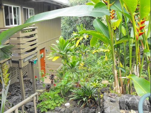 South Kona Hideaway - Captain Cook
