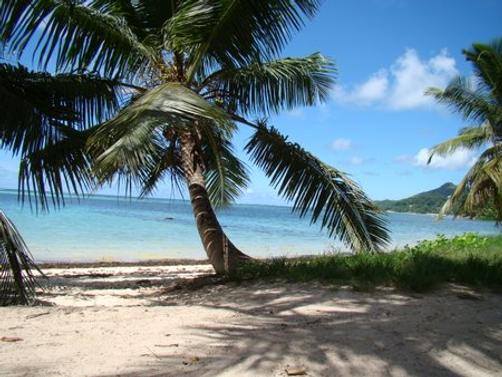 Reef Holiday Apartments - Mahe Island - Beach