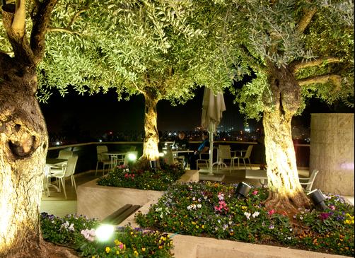 Prima Galil - Tiberias - Building