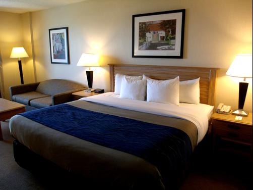 Comfort Inn & Suites Presidential - Little Rock - Bedroom