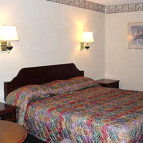 College Inn Spartanburg - Spartanburg - King bedroom