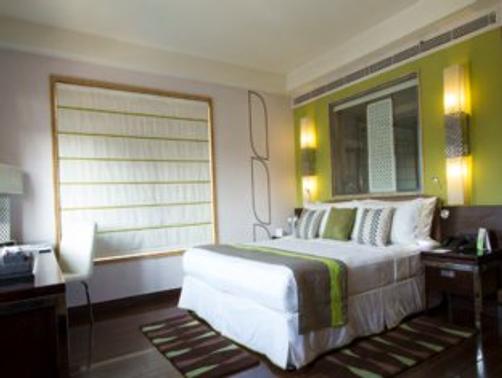 Leisure Inn West Gurgaon - Gurgaon - King bedroom