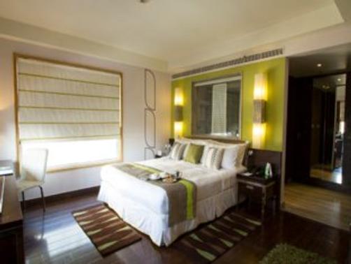 Leisure Inn West Gurgaon - Gurgaon - King bedroom