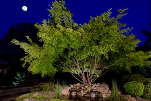 Le Meridien Atlanta Perimeter - Atlanta - Outdoors view