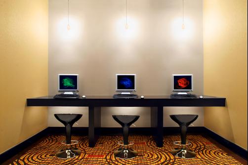 Sheraton Bloomington Hotel - Bloomington - Business center