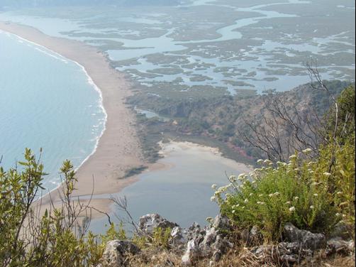 Dalyan Palmiye Resort Hotel - Dalyan - Attractions