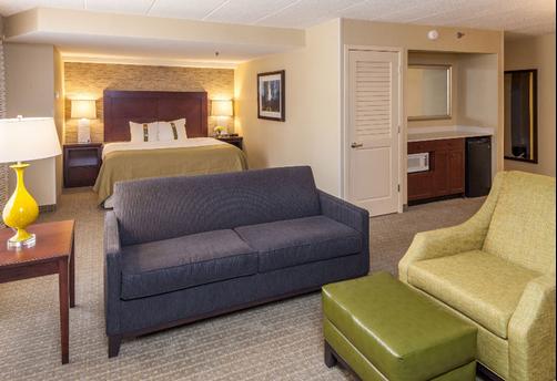 Wyndham Pittsburgh University Center - Pittsburgh - Bedroom