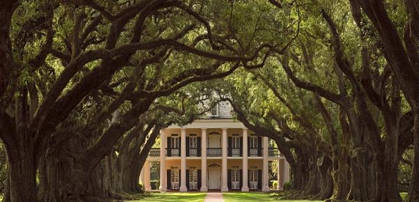 Oak Alley Plantation - Vacheri - Vacherie