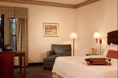 Hampton Inn Lawrenceville - Lawrenceville - Bedroom