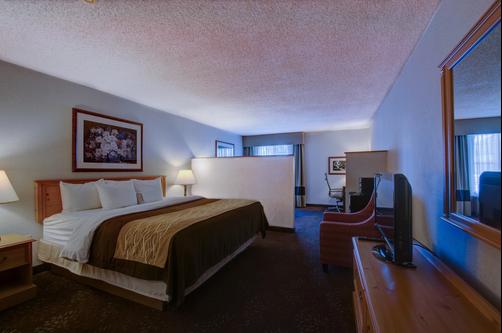 Comfort Inn - Fond Du Lac - King bedroom