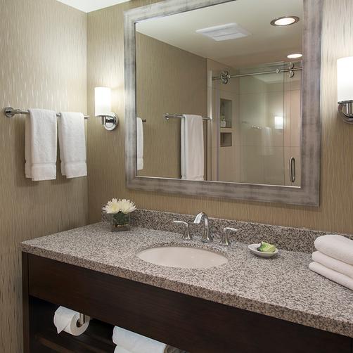 The Madison Concourse Hotel and Governor's Club - Madison - Bathroom