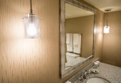 The Madison Concourse Hotel and Governor's Club - Madison - Bathroom
