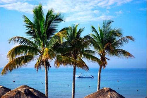Ocean Maya Royale - Playa del Carmen - Beach