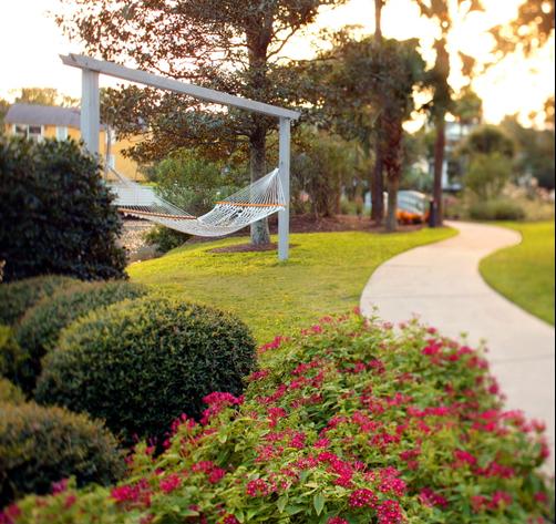 Sonesta Resort Hilton Head Island - Hilton Head - Outdoors view