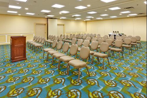 Holiday Inn Norwich - Norwich - Conference room