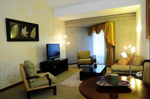 Radisson San Jose-Costa Rica - San Jose - Living room