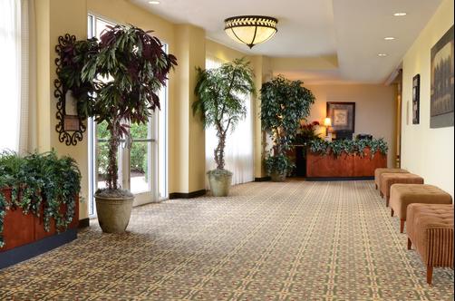 Holiday Inn Raleigh-Durham Airport - Morrisville - Conference room