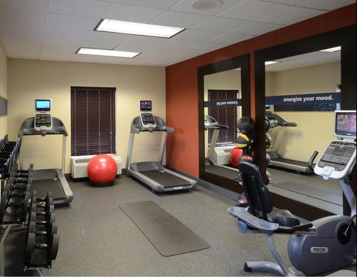 Hampton Inn Raleigh-Capital Blvd. North - Raleigh - Gym