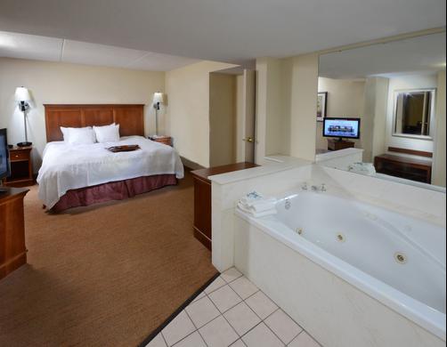 Hampton Inn Raleigh-Capital Blvd. North - Raleigh - Bedroom