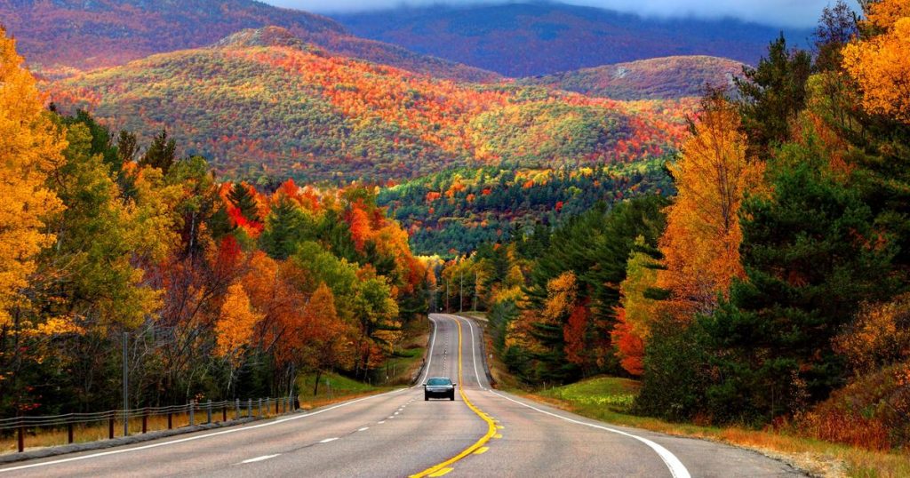 How does car rental work a stepbystep guide KAYAK