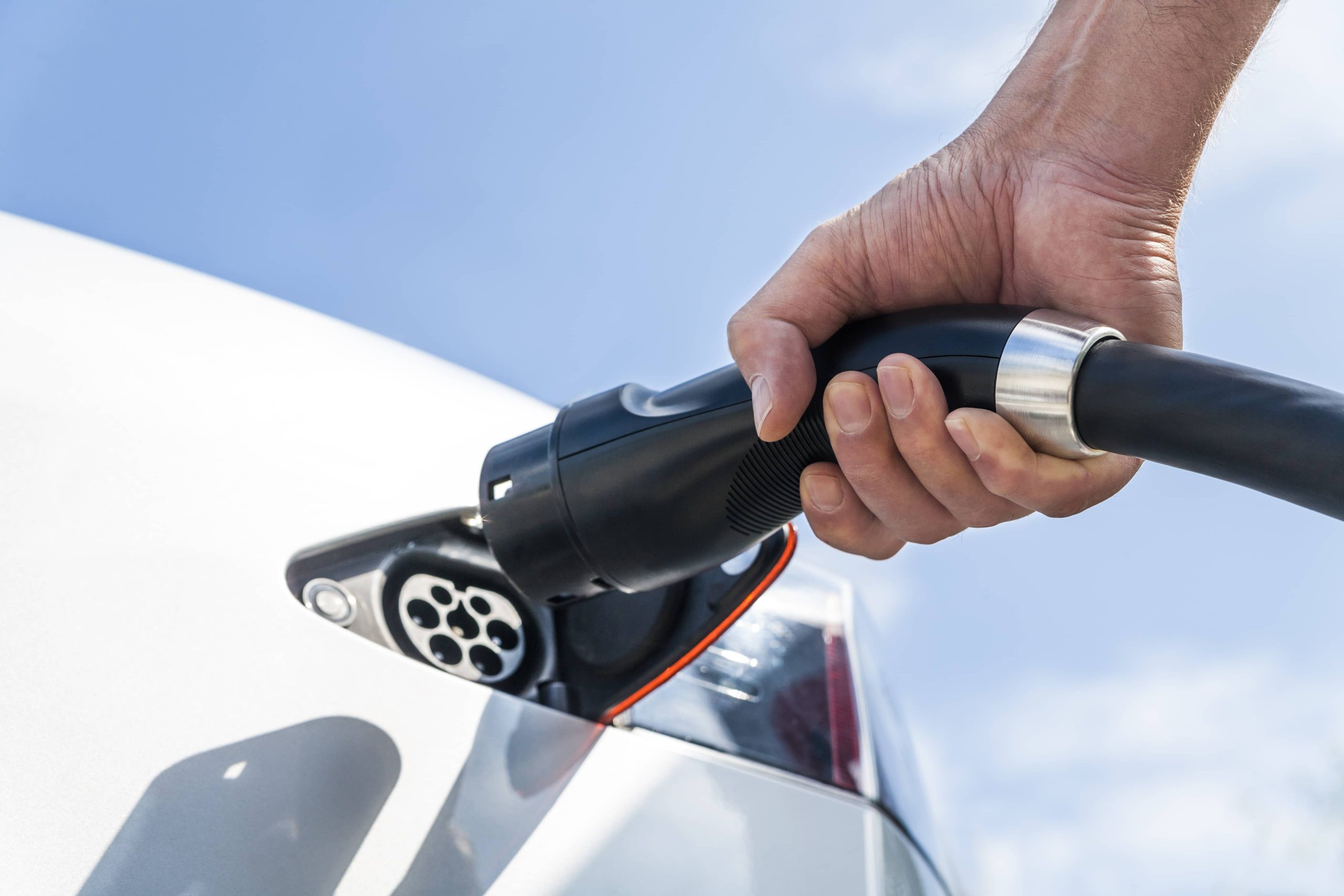 Rental car: electric or gas?