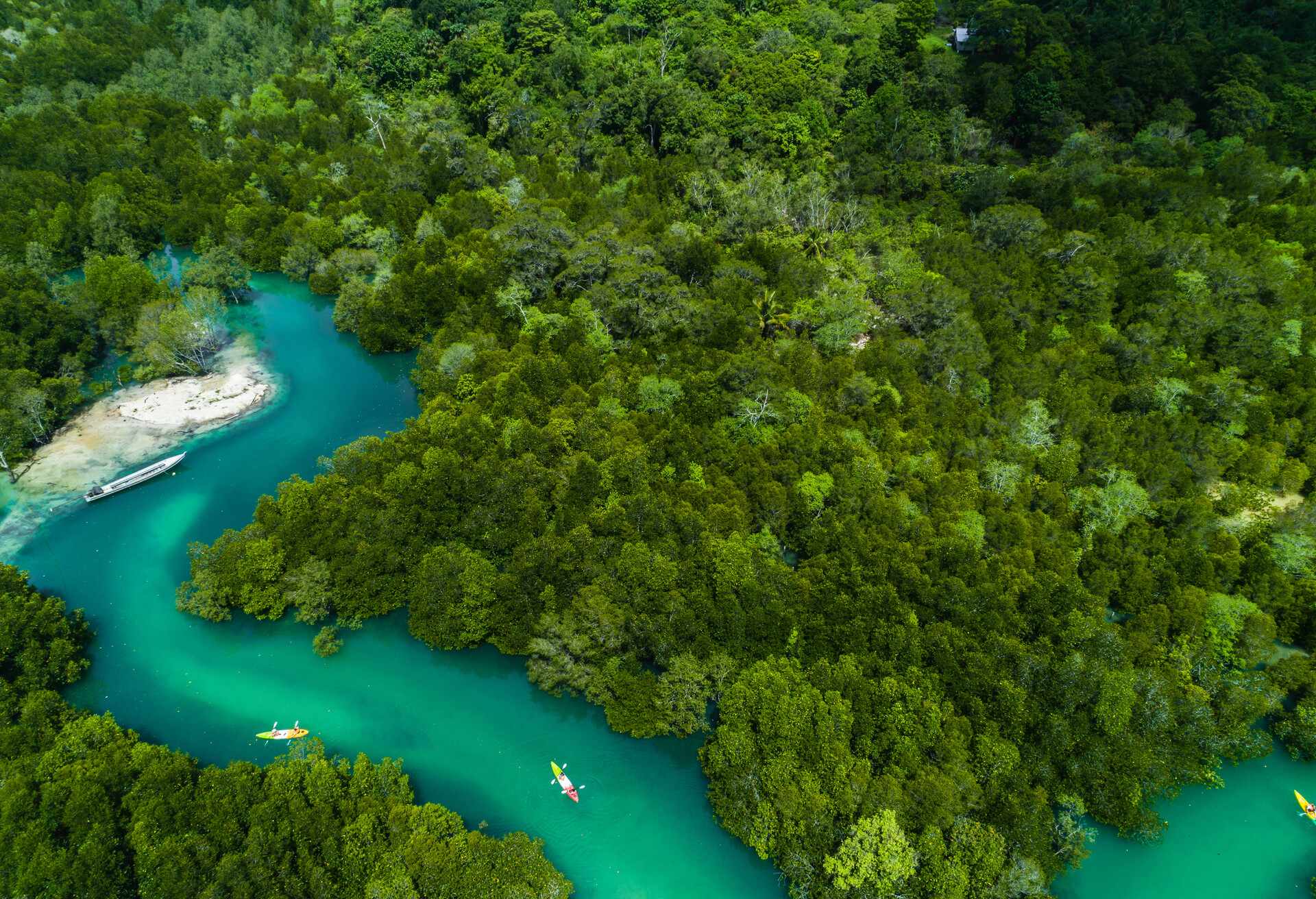 aerial view of kayaking along the mangrove forest of Ko Payam, Ranong, Thailand; Shutterstock ID 1138857743