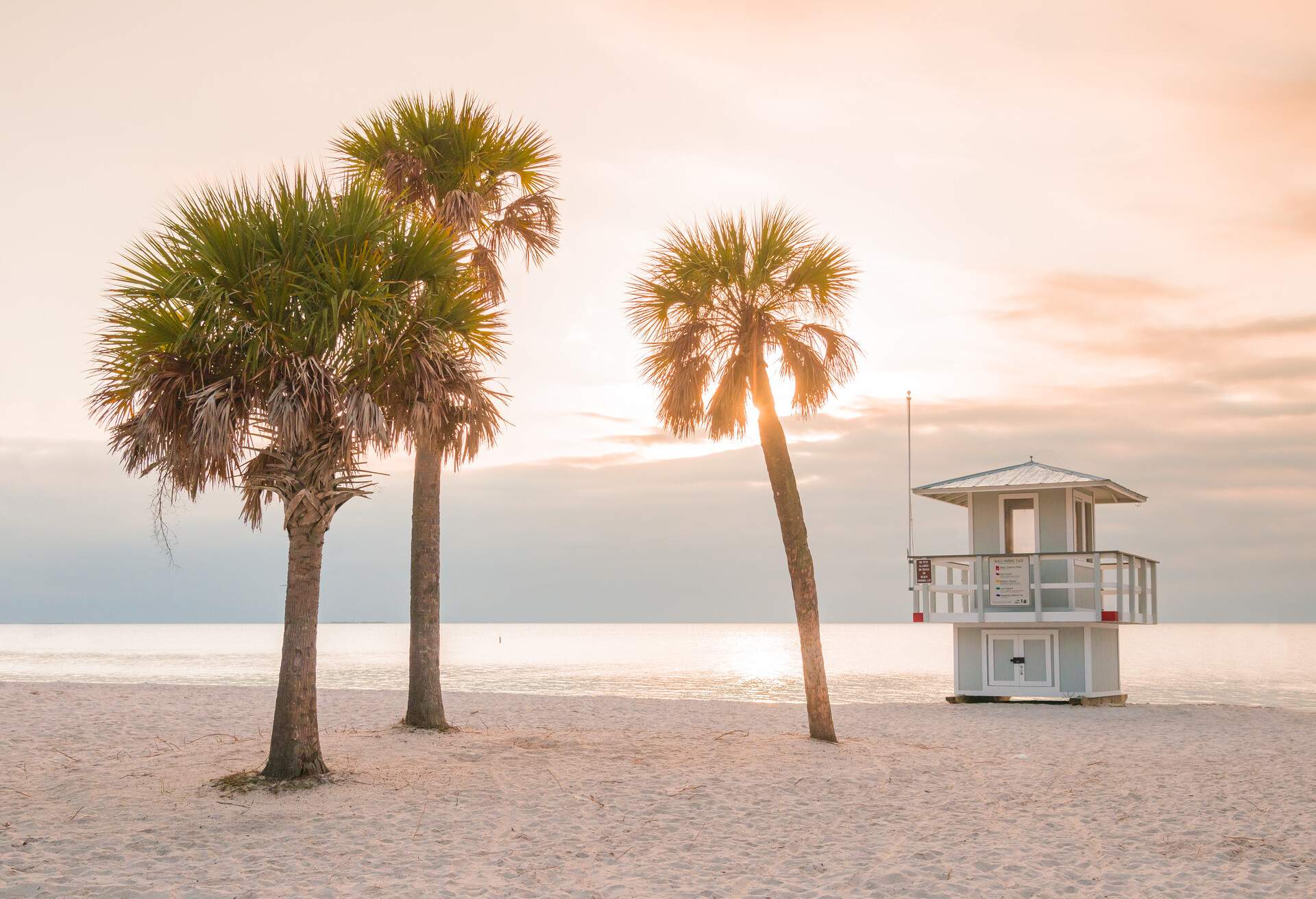 Palm trees are seen along Sunset Beach in Fred Howard Park near Tarpon Springs, Florida; Shutterstock ID 584844664