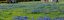preload