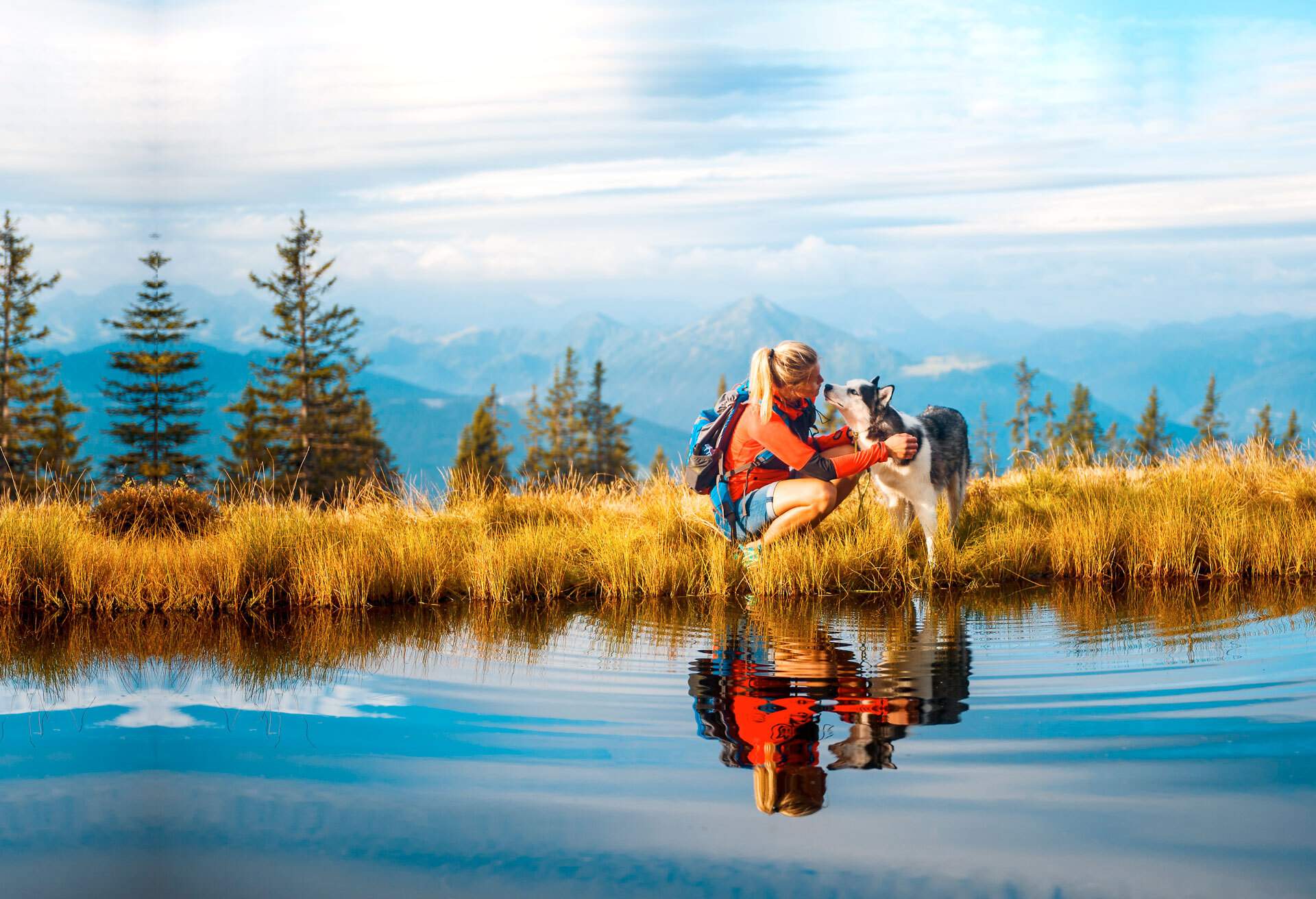 Pet Travel Playbook KAYAK