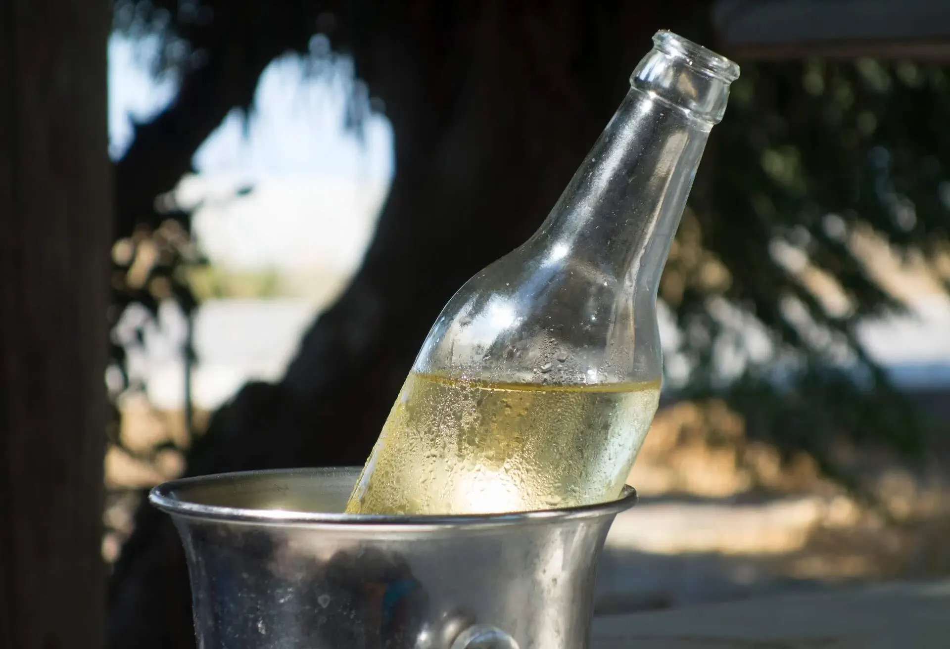 Bottle of Retsina in a cooler