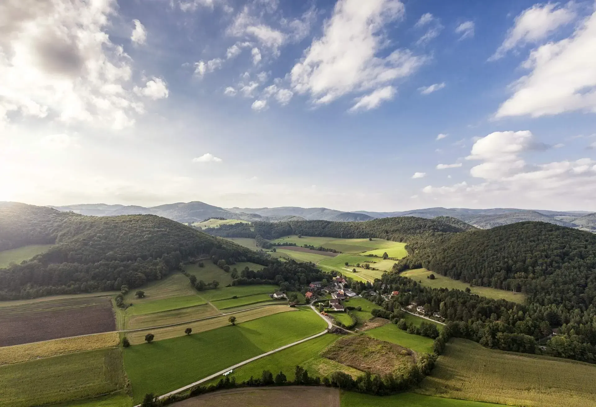 Landscape, Vienna Woods, Austria.