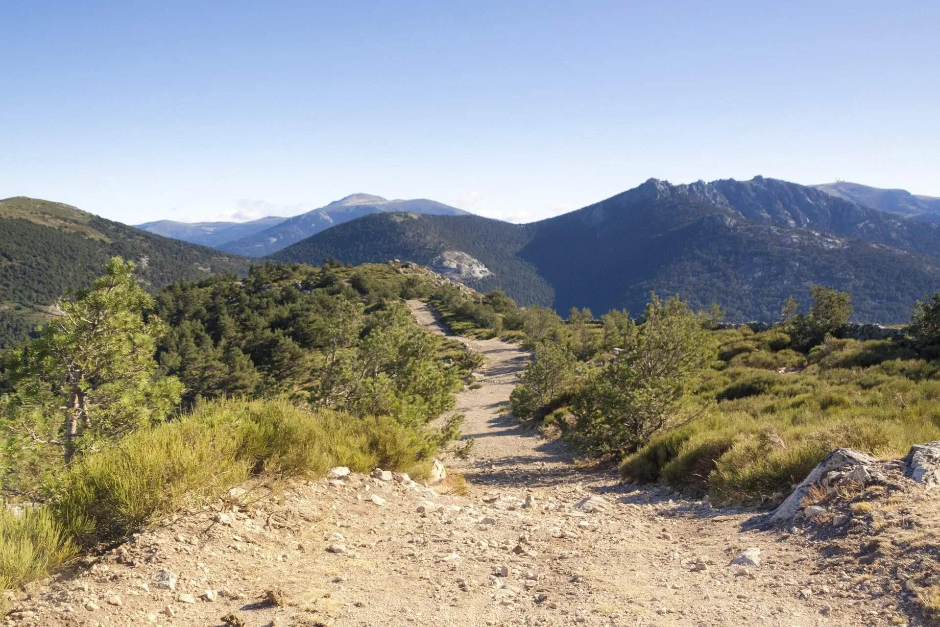 A dirt road on top of a hill, surrounded by vegetation, with a view of mountains covered in forest.
