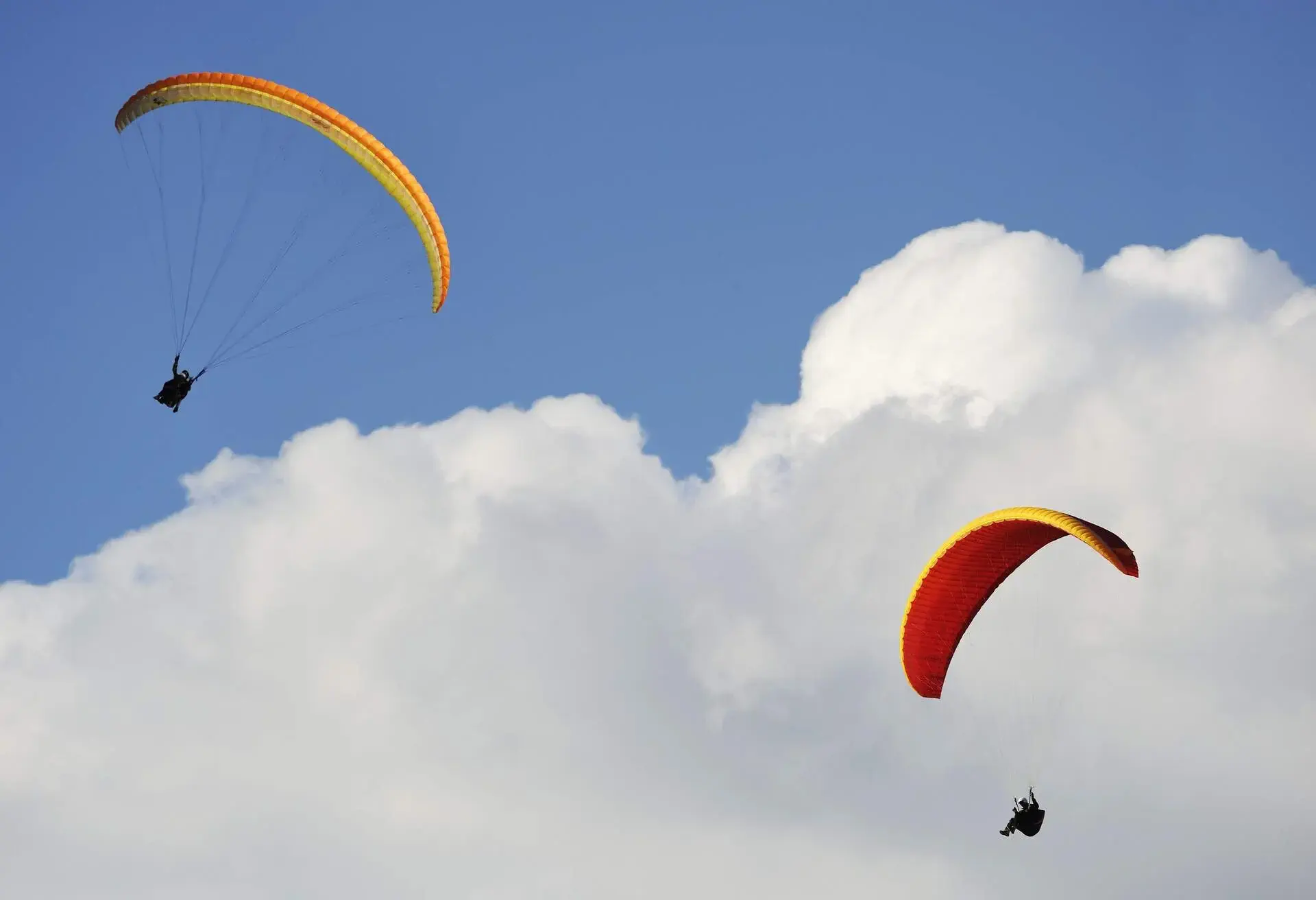 Parafliders in the sky.