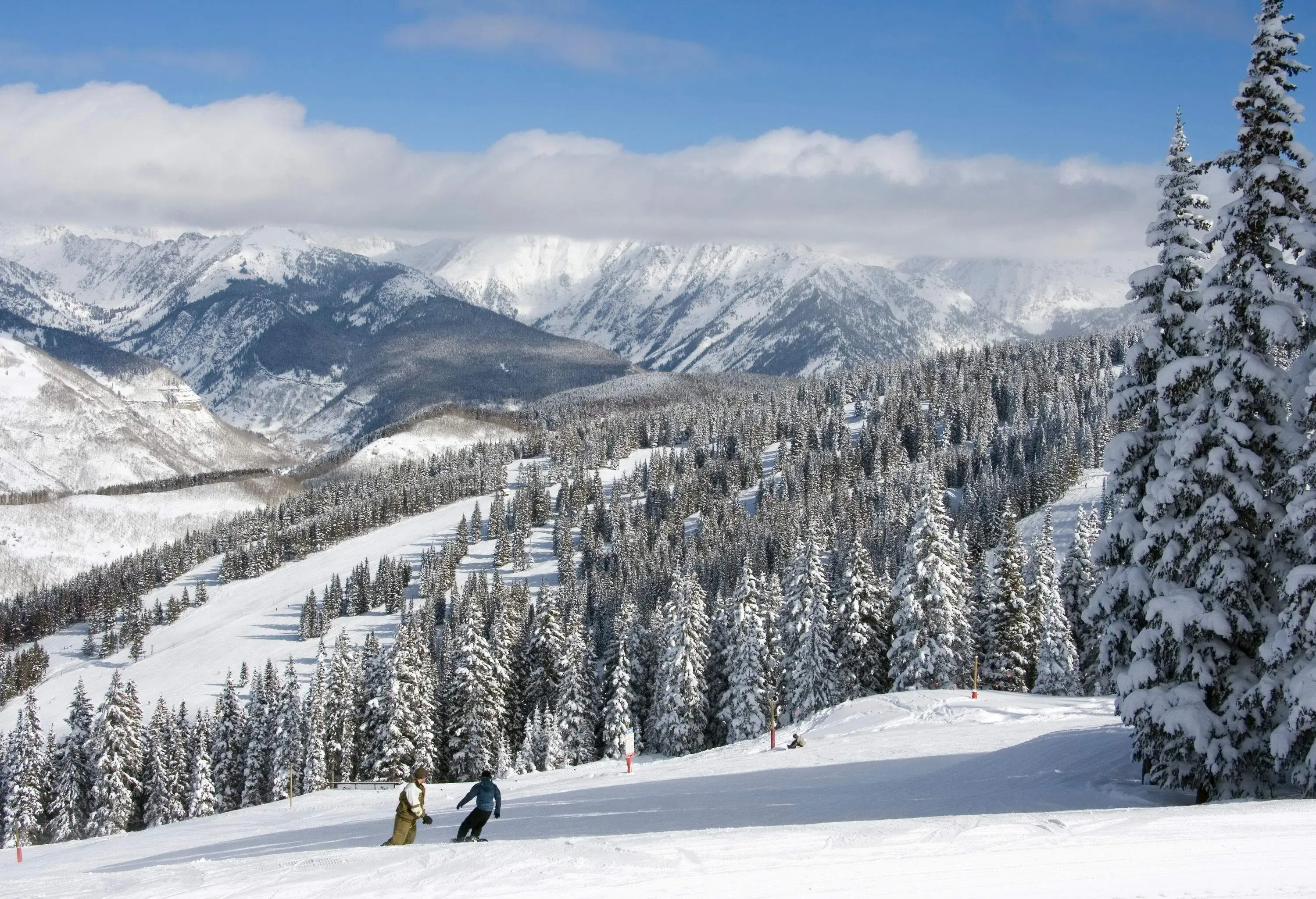 Skiers at a ski terrain lined with frosted tall pines with a view of the snow-capped mountains in the background.