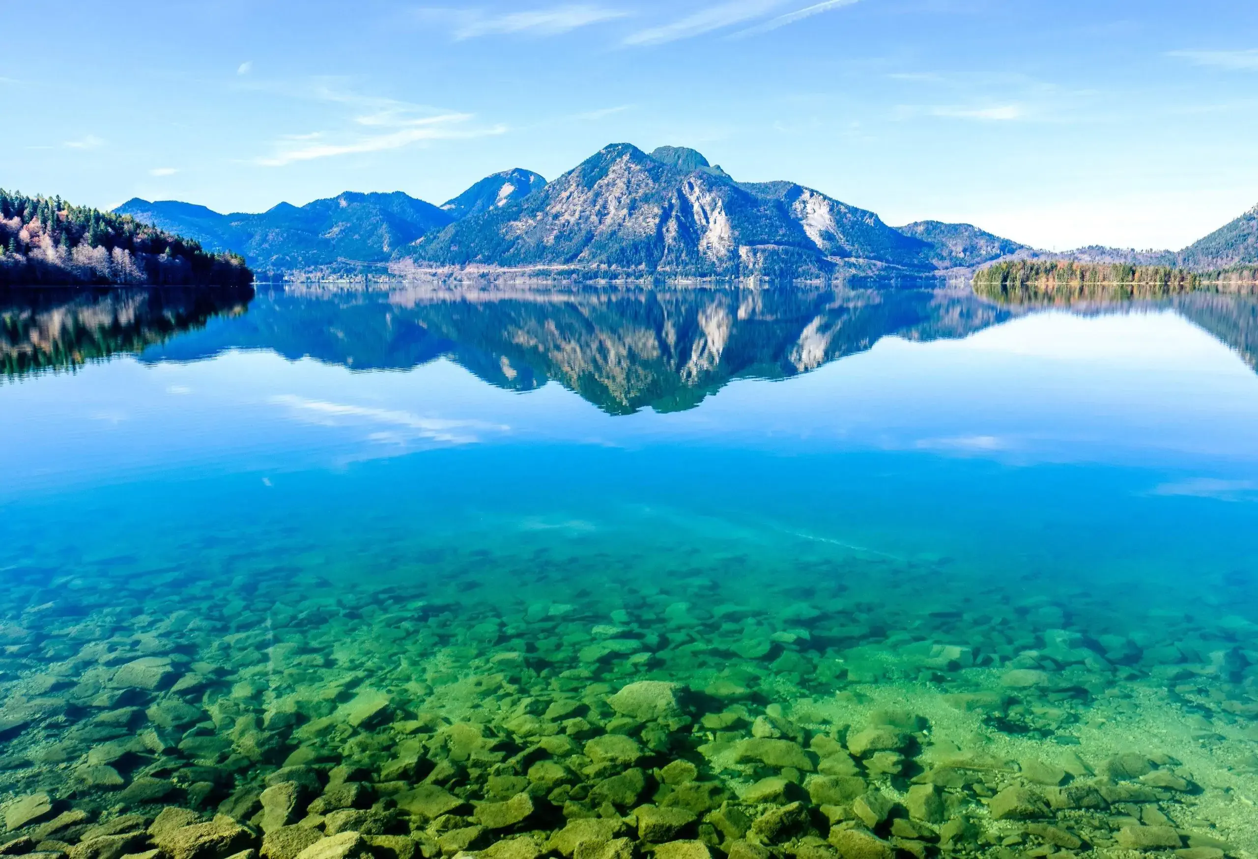 A serene rocky lake reflects the forested mountain range and the clear blue sky.