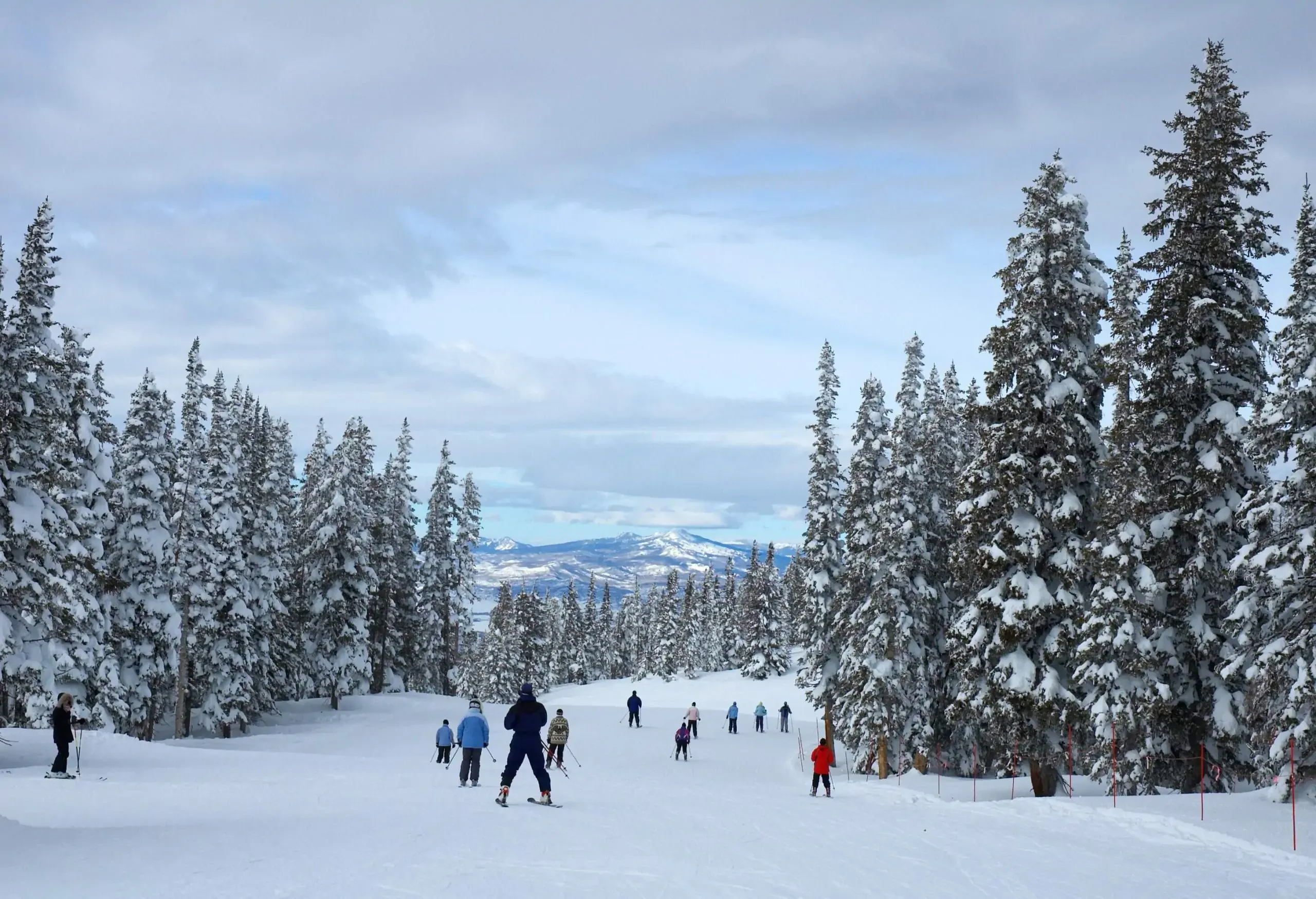People skiing at a ski resort lined with tall frosty pine trees overlooking snow-capped mountains.