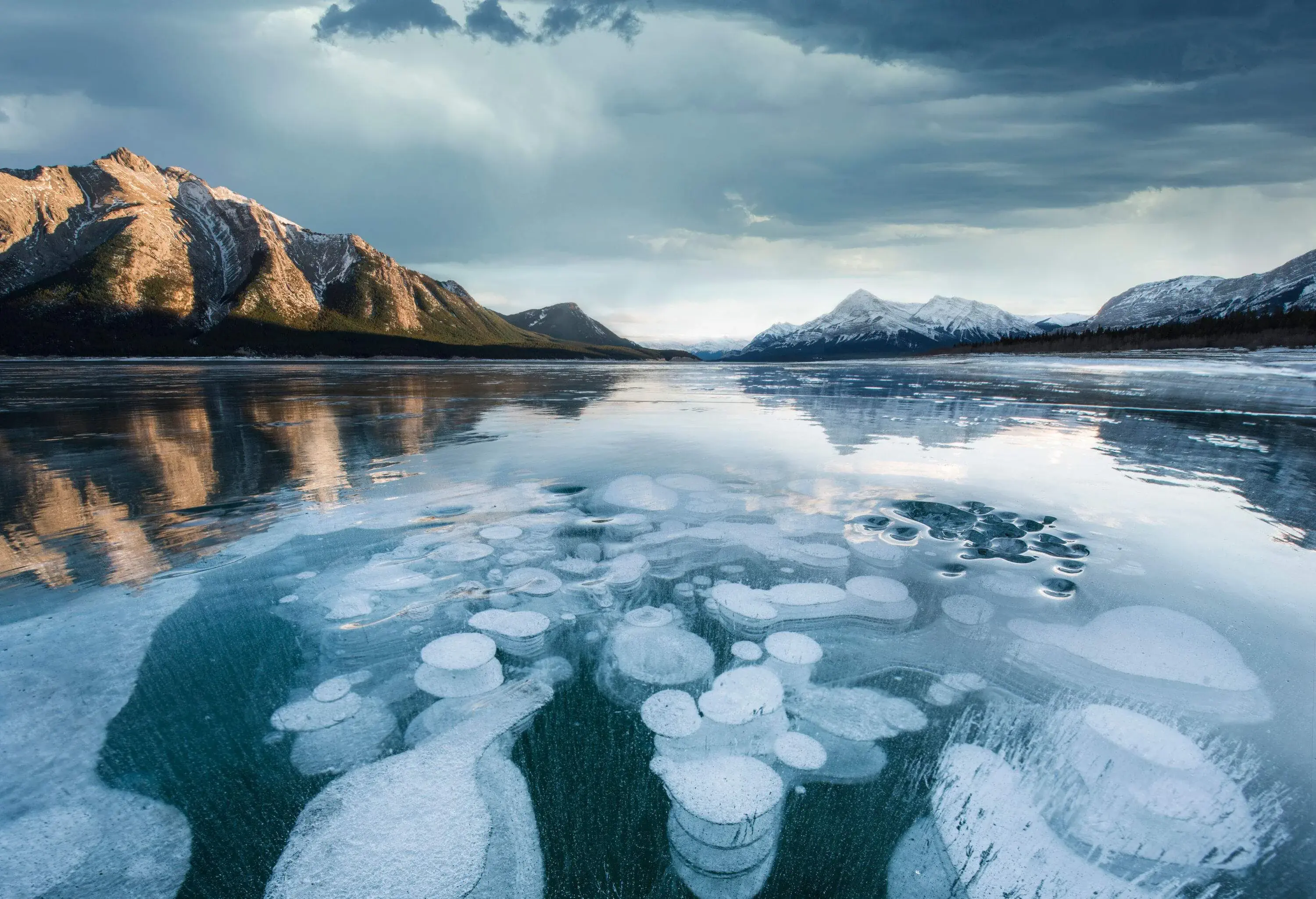 A cluster of trapped air bubbles on a frozen lake.