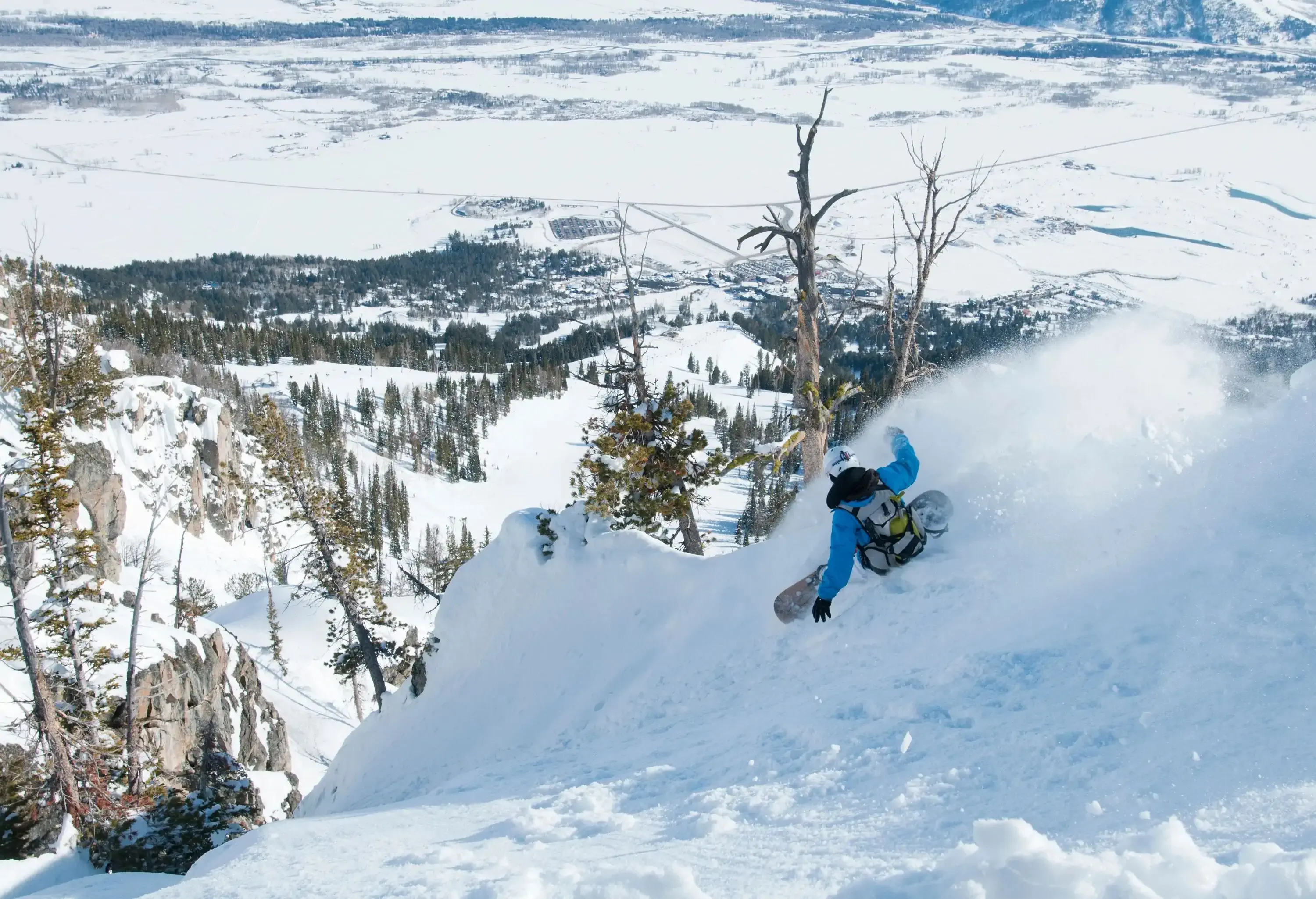 A skier descending a challenging slope with a treed terrain at the bottom.