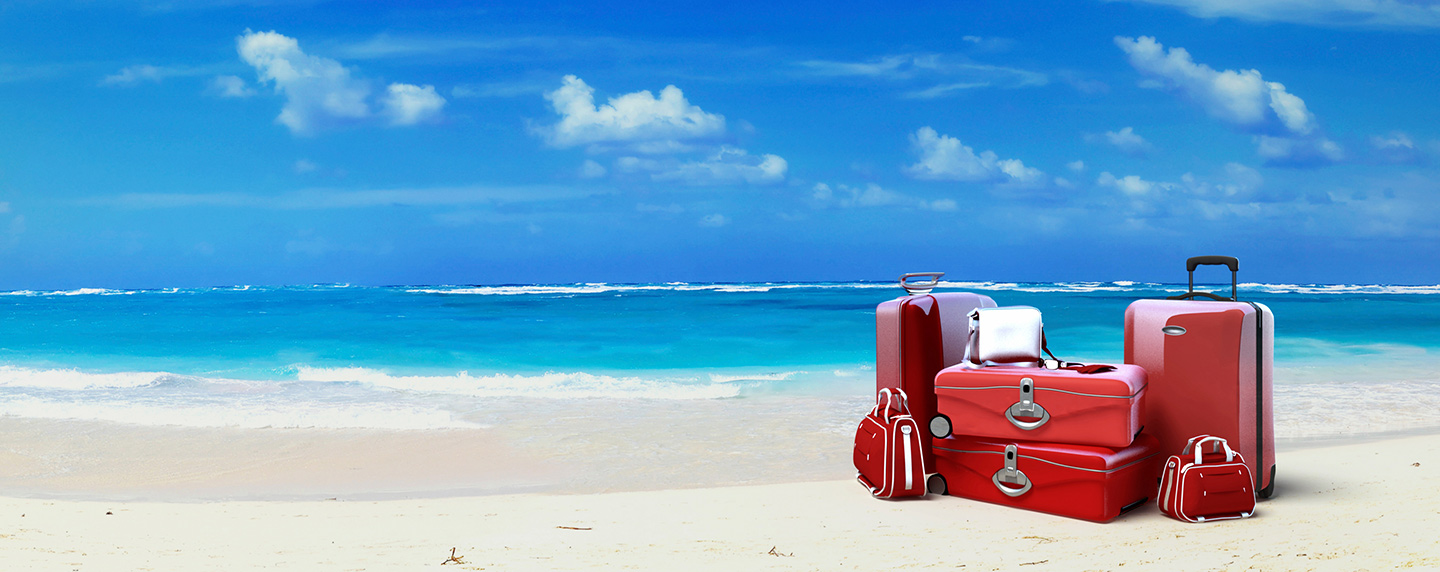 Now you can find baggage fees on the G.T.A.O.A.T. (the Greatest Travel