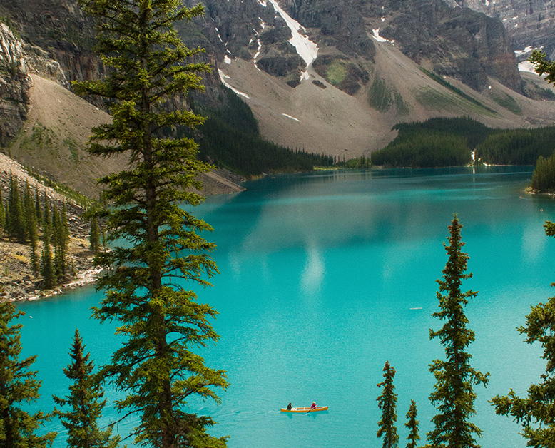 What is KAYAK and How Does It Work? Travel Hacker Blog