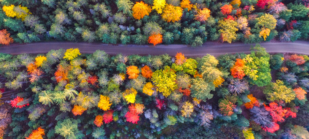 4 Expert Tips on Renting a Car for Thanksgiving Travel Hacker Blog